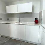Apartment A485b
